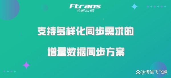 E福顺的多媒体系统支持哪些连接方式,满足多样化需求吗?