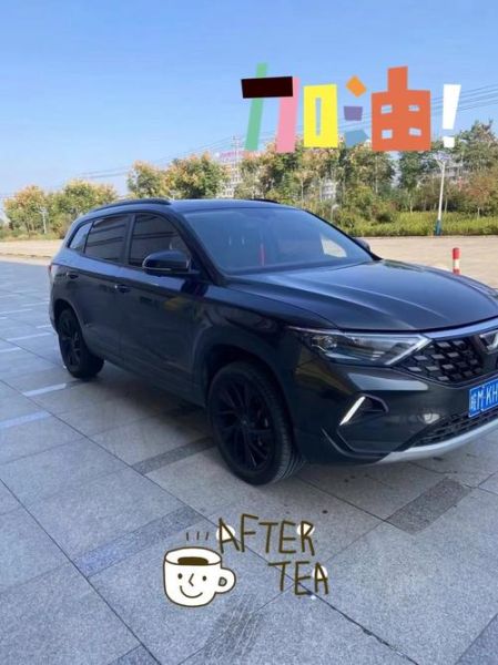 捷达VS7用户口碑如何,市场反馈是否积极?