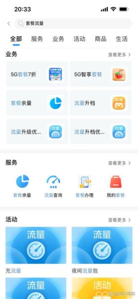 查询手机上网流量 我的手机流量查询