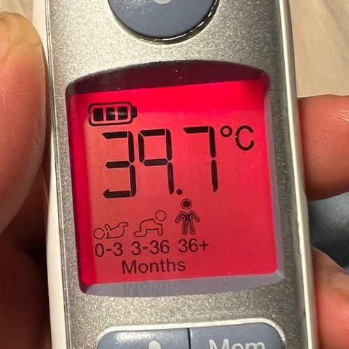 博朗耳温枪开机就一闪一闪无法开启 博朗耳温枪换电池教程