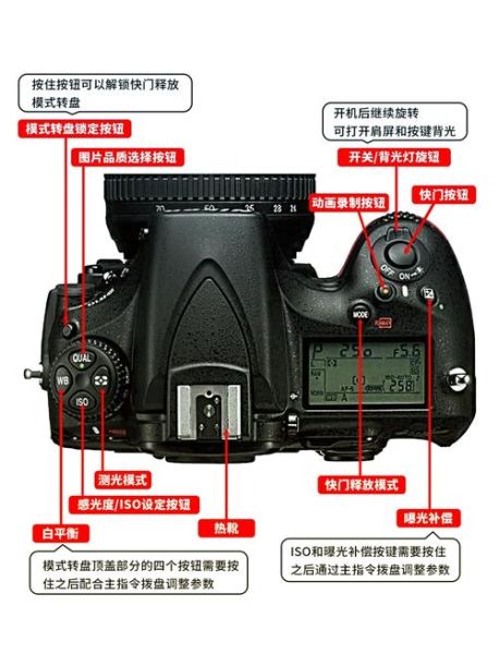 佳能450d说明书 佳能450d按键图解